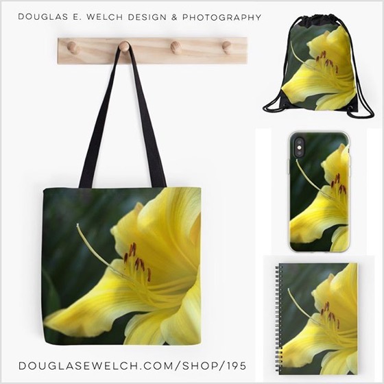 Get These Shining Yellow Daylilys on iPhone Cases, Totes, Notebooks and More!