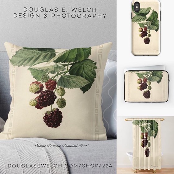 Celebrate The Botanical Past With This “Vintage Bramble Botanical Print” Products and More From Douglas E. Welch Design and Photography [For Sale]