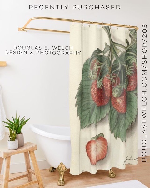 Recently Purchased — Vintage Strawberries Shower Curtain by Douglas E. Welch [For Sale]