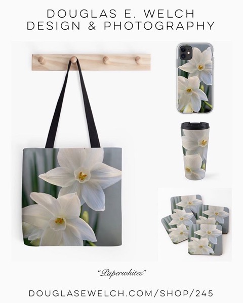 NEW DESIGN - Paperwhites 2019 on Totes, Coasters, and More From Douglas E. Welch Design and Photography [For Sale]</p>

<p>Includes throw blankets, duvet covers, pillows, hoodies, tees, and much more!