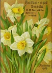Vintage Daffodils