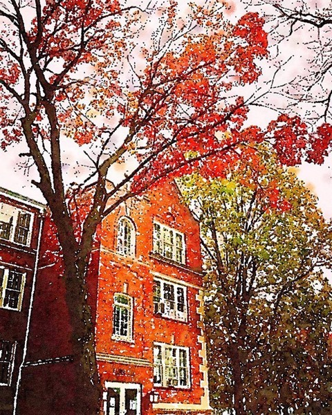 Stephens College Campus In Autumn via Instagram