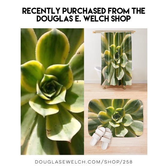 Echeveria In The Sun Shower Curtains and Bath Mats – Recently Purchased From Douglas E. Welch Design and Photography [For Sale]