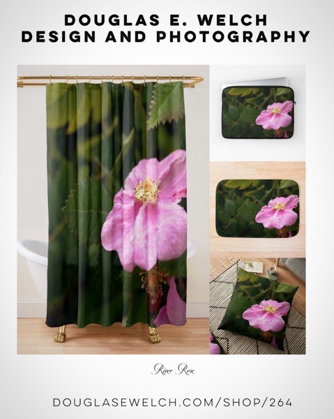 River Rose Shower Curtains, Pillows, and More From Douglas E. Welch Design and Photography [For Sale]