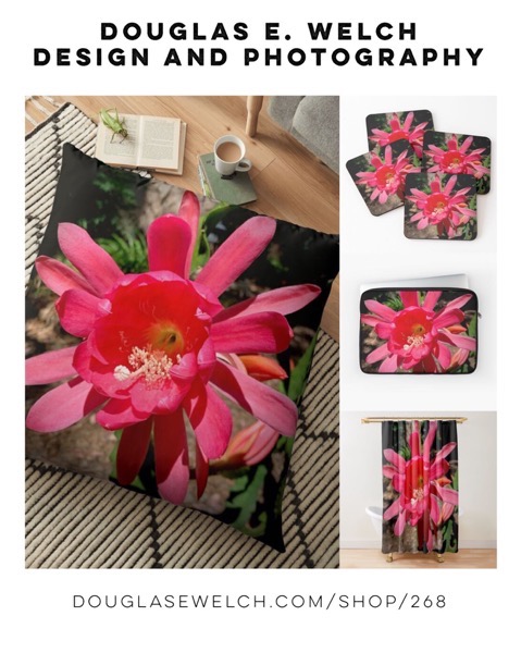 Shine Brightly With These Epiphyllum Flower Pillows, Cases, and More From Douglas E. Welch Design and Photography [For Sale]
