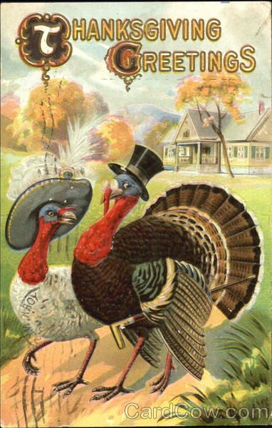Thanksgiving 2020 – 1 in a series – Top Hat Tom Turkey and Mate