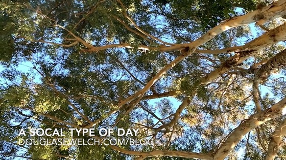 A SoCal Type Of Day in Slow Motion [Video]