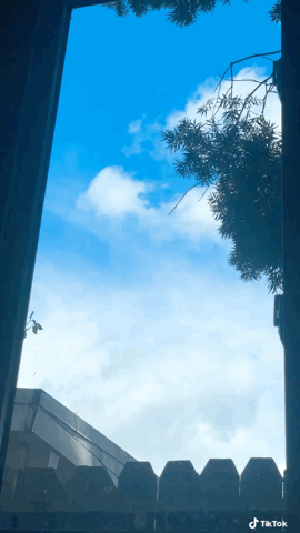 Scuddering rain clouds outside my office window via TikTok [Video]
