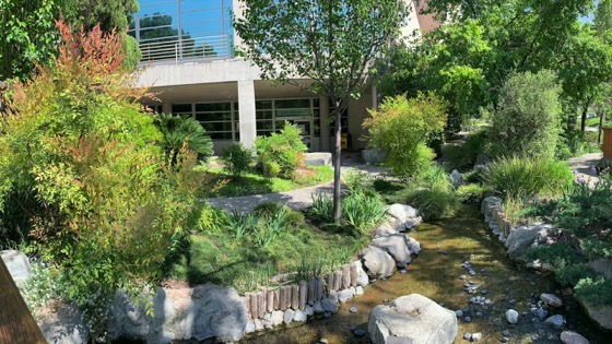 The Japanese Garden At Cal Poly Pomona (Panoramic Photo)