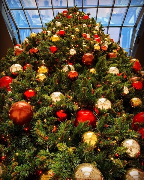 A Tall Christmas Tree via Instagram