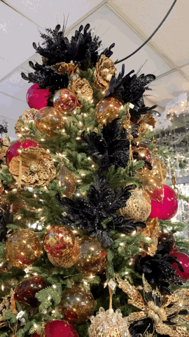 Christmas at Aldik Home via TikTok [Video]