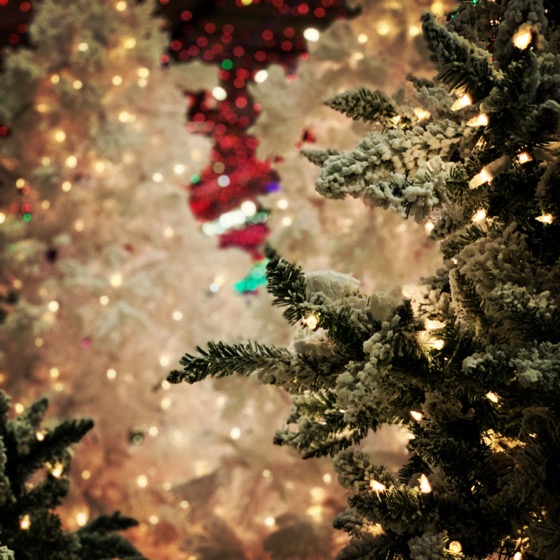 Through the trees - Christmas at Aldik Home 17 via Instagram