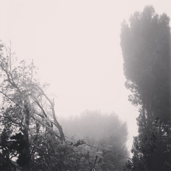 Foggy Morning 1 via Instagram