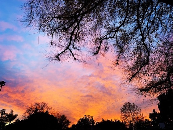 Sunset This Evening via Instagram [2 Photos]