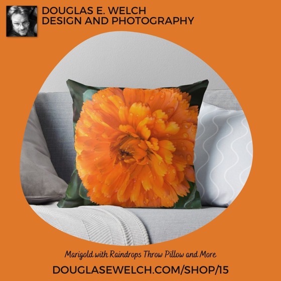 🛍 Marigold with Raindrops Throw Pillow and More by Douglas E. Welch Design and Photography