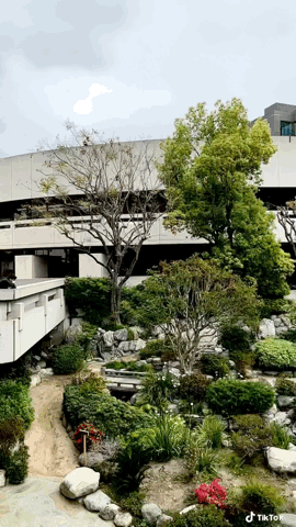 Places LA: James Irvine Japanese Garden at JACCC, Little Tokyo, Los Angeles via TikTok [Video]