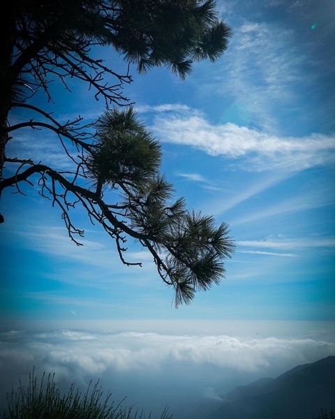 Mount Wilson View via Instagram [Photography] 