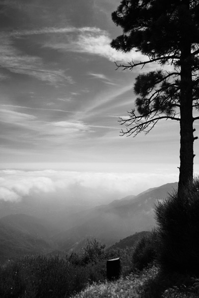 View over Pasadena from Mount Wilson (2 photos) via Instagram [Photography]