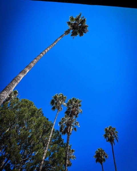 LA Scene, August 26, 2022 via Instagram [Photography]