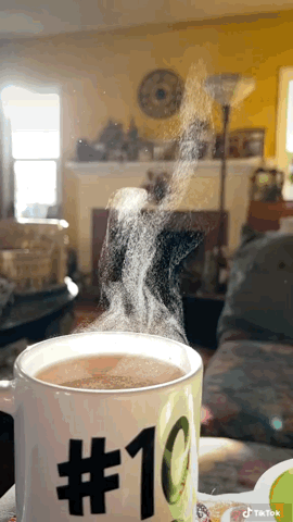 Cup of tea via TikTok [Video]