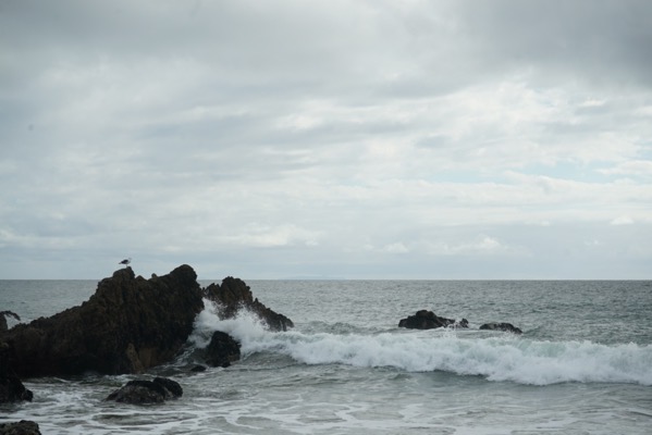 Leo Carrillo Beach, Malibu, California  [Photography]