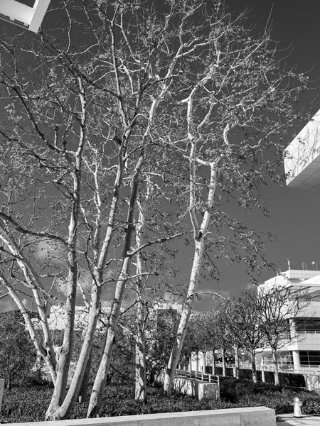 Getty Center View 3  [Photography]