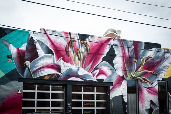Azalea Mural, Larimer Street, Denver, Colorado  [Photography]