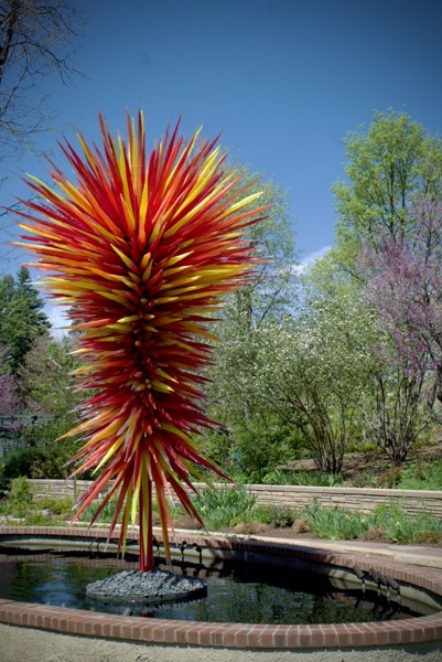 Dale Chihuly Glass Sculpture, Denver Botanic Garden, Denver, Colorado  [Photography]