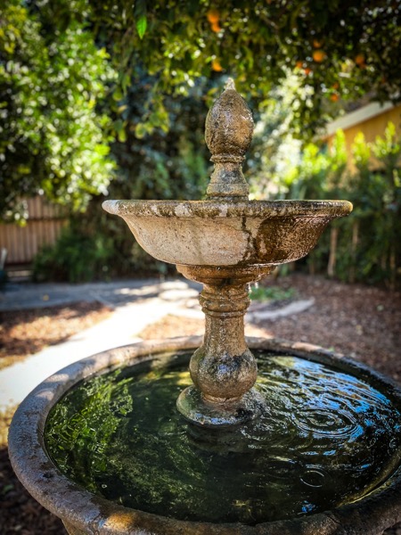Fountain in the garden  [Photography]