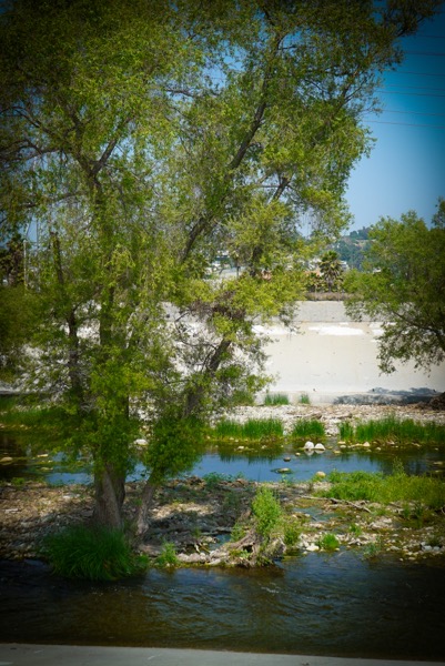 Los Angeles River @ Frogtown  