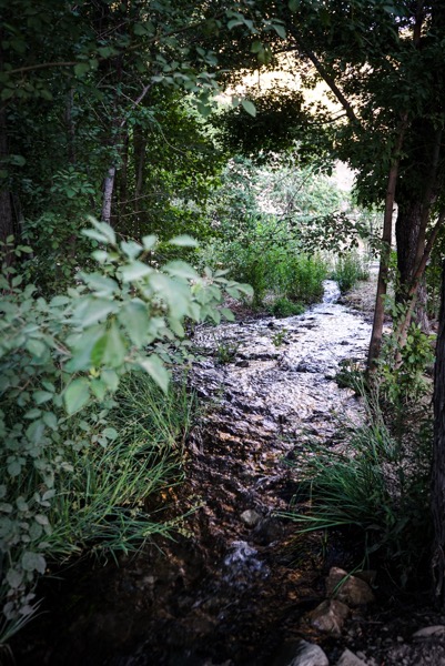 Paradise Springs Landscape 04 - Babbling Brook (2 photos) [Photography]