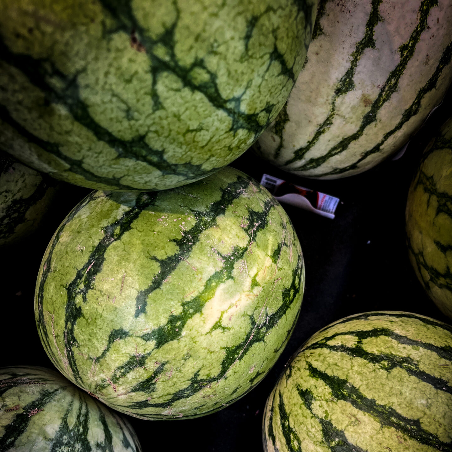 Watermelon [Photography]
