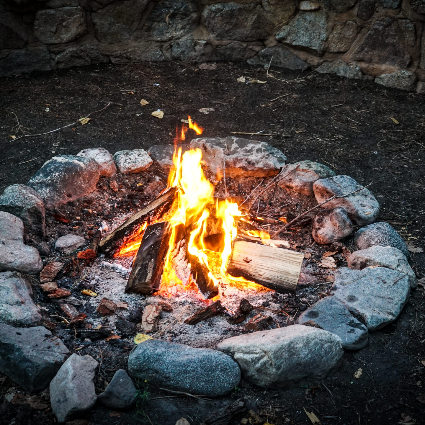 Campfire, Paradise Springs Landscape 05 [Photography]