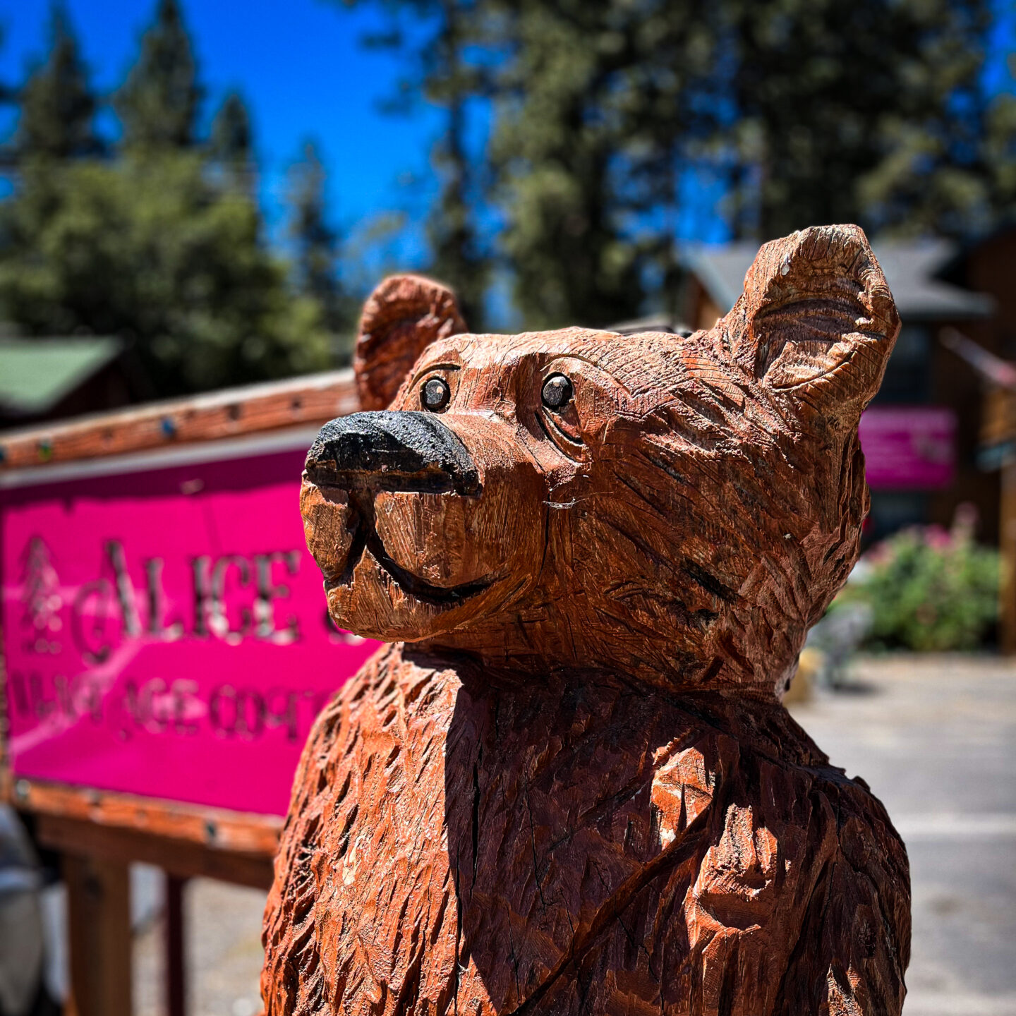 Bear Chainsaw Sculpture, Wrightwood, California [Photography]