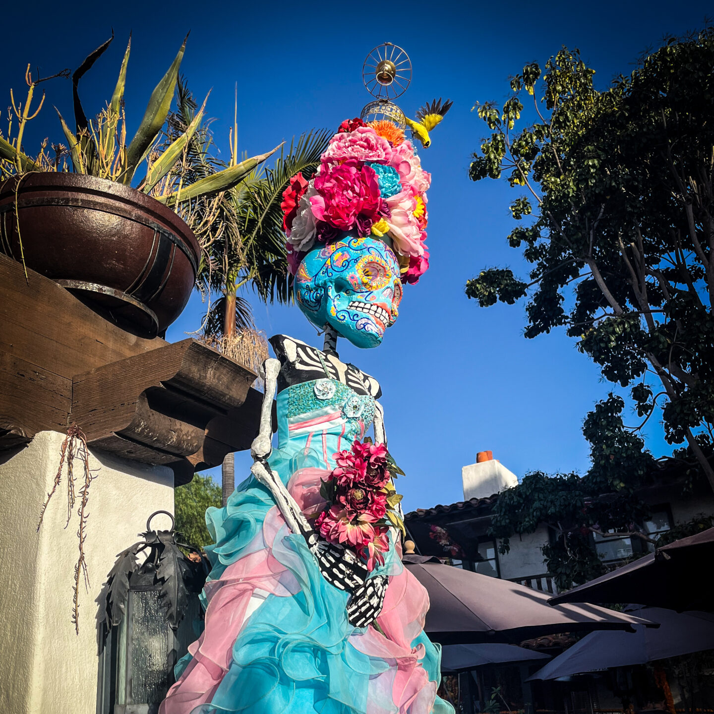 Dia De Los Muertos Decorations, Casa de Reyes, Old Town San Diego [Photography]