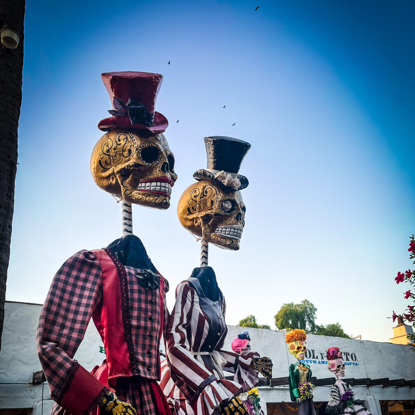 Dia De Los Muertos Decorations 4, Fiesta de Reyes, Old Town San Diego [Photography]