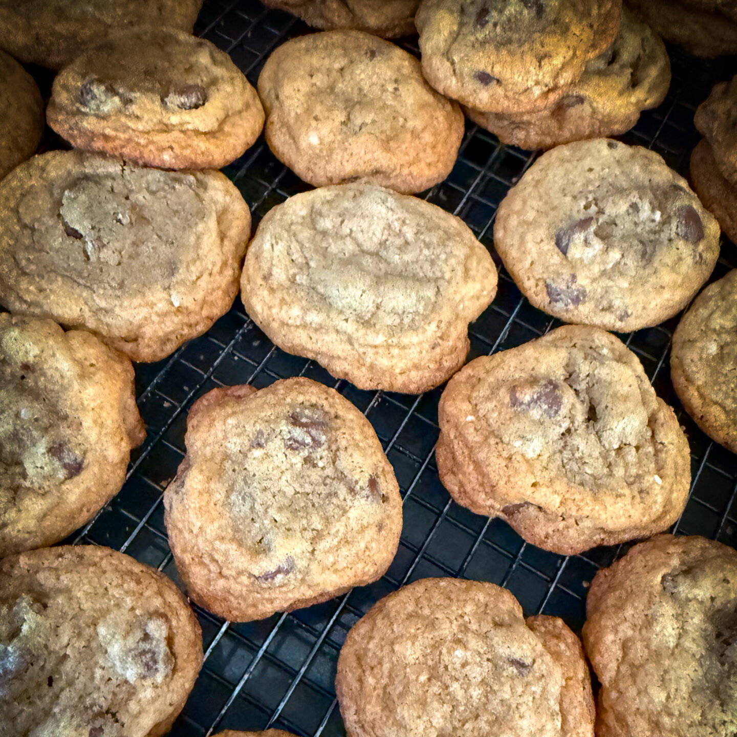 The cookies begin! – Chocolate Chip [Photography]