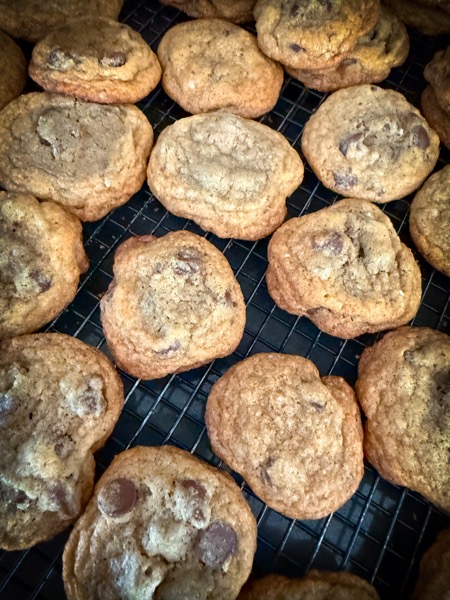 The cookies begin! – Chocolate Chip [Photography]