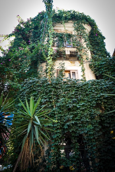 Vine-covered Building, Catania, Sicily, Italy