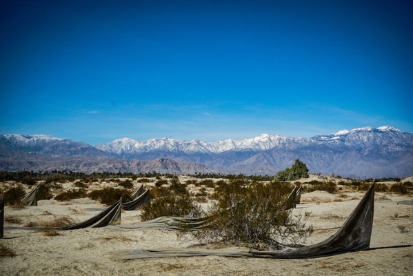 What Remains by Muhannad Shono 2, Desert X 2025, Coachella Valley, California [Photography]