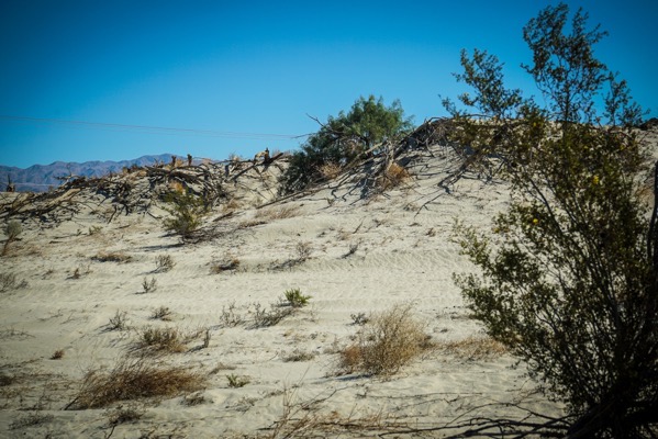 The image depicts a desert landscape under a clear blue sky. The foreground features a sandy terrain with sparse vegetation, including a few green shrubs and some dry, brown plants scattered across the ground. The middle ground shows a small hill with more vegetation, including a green bush and some dead branches. In the background, a range of mountains is visible, adding depth to the scene. A power line runs horizontally across the image, adding a man-made element to the natural setting. The overall color palette is dominated by the light beige of the sand, the green of the shrubs, and the blue of the sky.</p>

<p>Provided by @altbot, generated privately and locally using Ovis2-8B