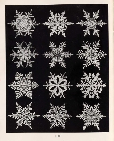 The image displays a collection of twelve snowflakes arranged in a 3x4 grid against a black background. Each snowflake is intricately detailed, showcasing unique patterns and structures. The snowflakes vary in design, with some featuring more complex and symmetrical patterns, while others have simpler, more delicate structures. The central snowflake in the middle row is particularly prominent, with a complex and symmetrical design. The snowflakes are monochromatic, with white details on a black background, emphasizing their intricate designs. The image appears to be a page from a book, as indicated by the page number 180 at the bottom center.</p>

<p>Provided by @altbot, generated privately and locally using Ovis2-8B
