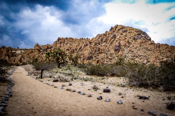 The image depicts a desert landscape with a prominent rocky hill in the background. The hill is composed of rugged, tan-colored rock formations with various shapes and sizes, creating a textured and uneven surface. In the foreground, a sandy path winds through the desert, bordered by small, gray rocks on one side. The path is flanked by sparse vegetation, including a few Joshua trees and low shrubs, typical of a desert environment. The sky above is partly cloudy, with dark clouds suggesting the possibility of rain, while patches of blue sky are visible. The overall color palette is dominated by earthy tones, with the sandy path contrasting against the rocky hill and the greenery of the desert plants.</p>

<p>Provided by @altbot, generated privately and locally using Ovis2-8B