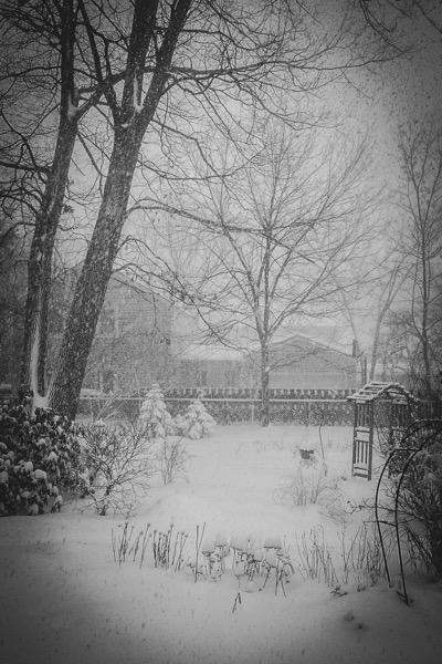 Winter Scene, Ohio, 2004 [Prints and Cards Available]