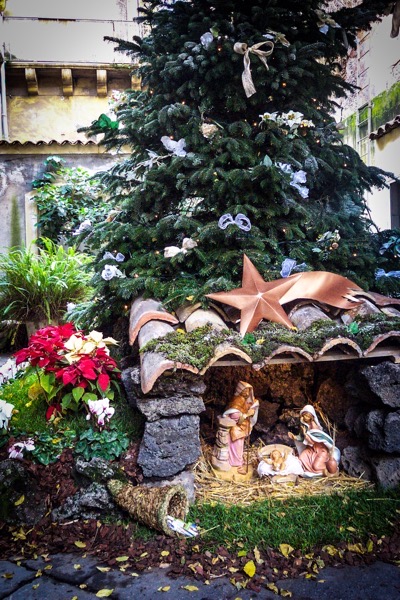 The image features a festive Christmas scene with a large, decorated Christmas tree in the background. The tree is adorned with white flowers, ribbons, and small lights, creating a warm and inviting atmosphere. In the foreground, there is a nativity scene set up on a stone platform with a moss-covered roof, resembling a stable. The nativity figures include Mary, Joseph, and the baby Jesus, with Mary holding the infant and Joseph standing beside them. A large, metallic star is placed on top of the roof, symbolizing the Star of Bethlehem. The scene is further enhanced by poinsettias and other plants, adding vibrant red and green colors. The setting appears to be outdoors, with a stone wall and a building visible in the background, suggesting a cozy, traditional holiday display.</p>

<p>Provided by @altbot, generated privately and locally using Ovis2-8B