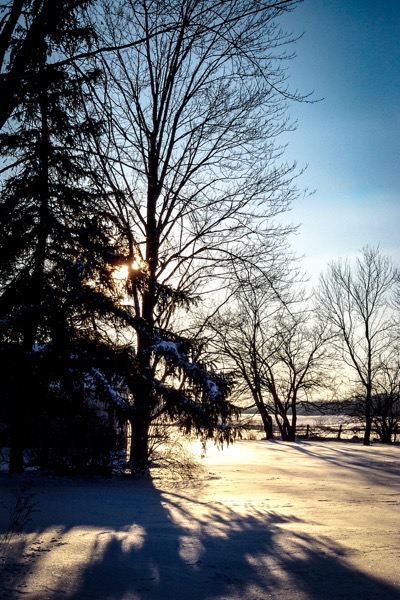 The image depicts a serene winter landscape with a clear blue sky. In the foreground, there is a snow-covered ground with distinct shadows cast by trees. The trees are silhouetted against the sky, with the sun partially visible behind one of them, creating a warm glow. The trees are a mix of evergreen and deciduous, with the evergreen tree on the left having branches heavy with snow. The deciduous trees on the right are bare, their branches reaching out against the sky. The sunlight creates a contrast between the bright areas and the darker shadows, highlighting the textures of the snow and the intricate patterns of the tree branches. The overall scene is tranquil and picturesque, capturing the essence of a winter day.</p></p>

<p><p>Provided by @altbot, generated privately and locally using Ovis2-8B