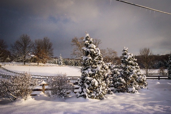 The image depicts a serene winter landscape. In the foreground, there are several evergreen trees heavily laden with snow, their branches bending under the weight. The snow is pristine and untouched, covering the ground and surrounding vegetation. A wooden fence runs parallel to the trees, partially obscured by the snow. In the background, a field is visible, also blanketed in snow, with a line of trees in the distance. The sky is overcast with dark clouds, suggesting a cold, wintry day. The lighting is soft, indicating either early morning or late afternoon. The overall scene is tranquil and picturesque, with the snow creating a blanket of white over the landscape.</p></p>

<p><p>Provided by @altbot, generated privately and locally using Ovis2-8B