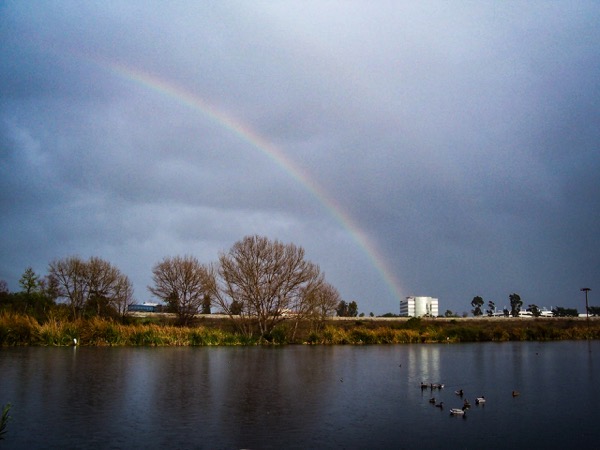 The image depicts a serene landscape featuring a body of water in the foreground, with a rainbow arching across the sky. The sky is predominantly overcast with dark clouds, creating a dramatic backdrop for the vibrant colors of the rainbow. In the background, there are several leafless trees lining the water's edge, and a white building is visible further back, suggesting an urban or suburban setting. Ducks are seen swimming in the water, adding life to the scene. The overall atmosphere is calm and picturesque, with the rainbow providing a striking contrast to the otherwise gloomy weather.</p></p>

<p><p>Provided by @altbot, generated privately and locally using Ovis2-8B