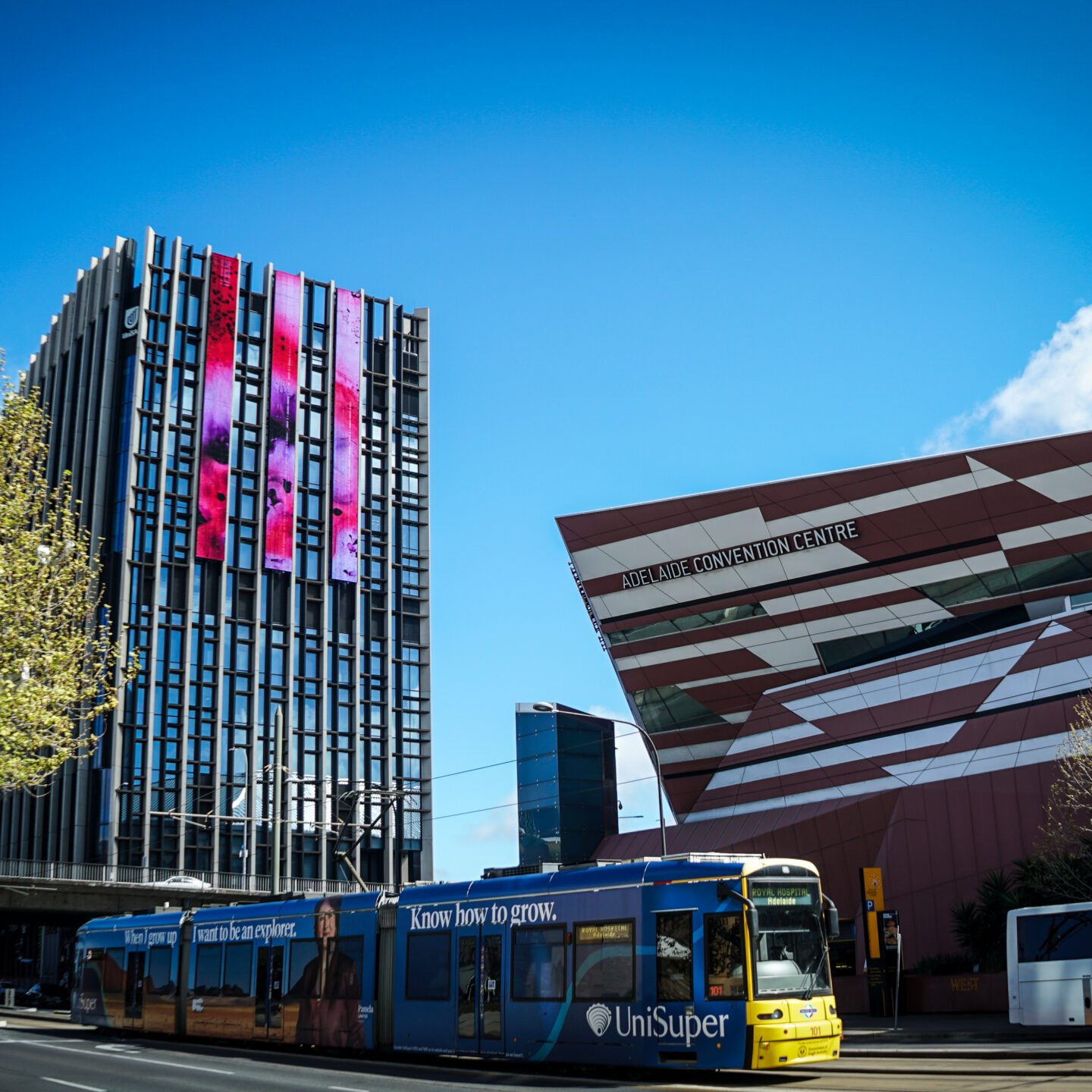 City Scene, Adelaide, Australia [Photography]