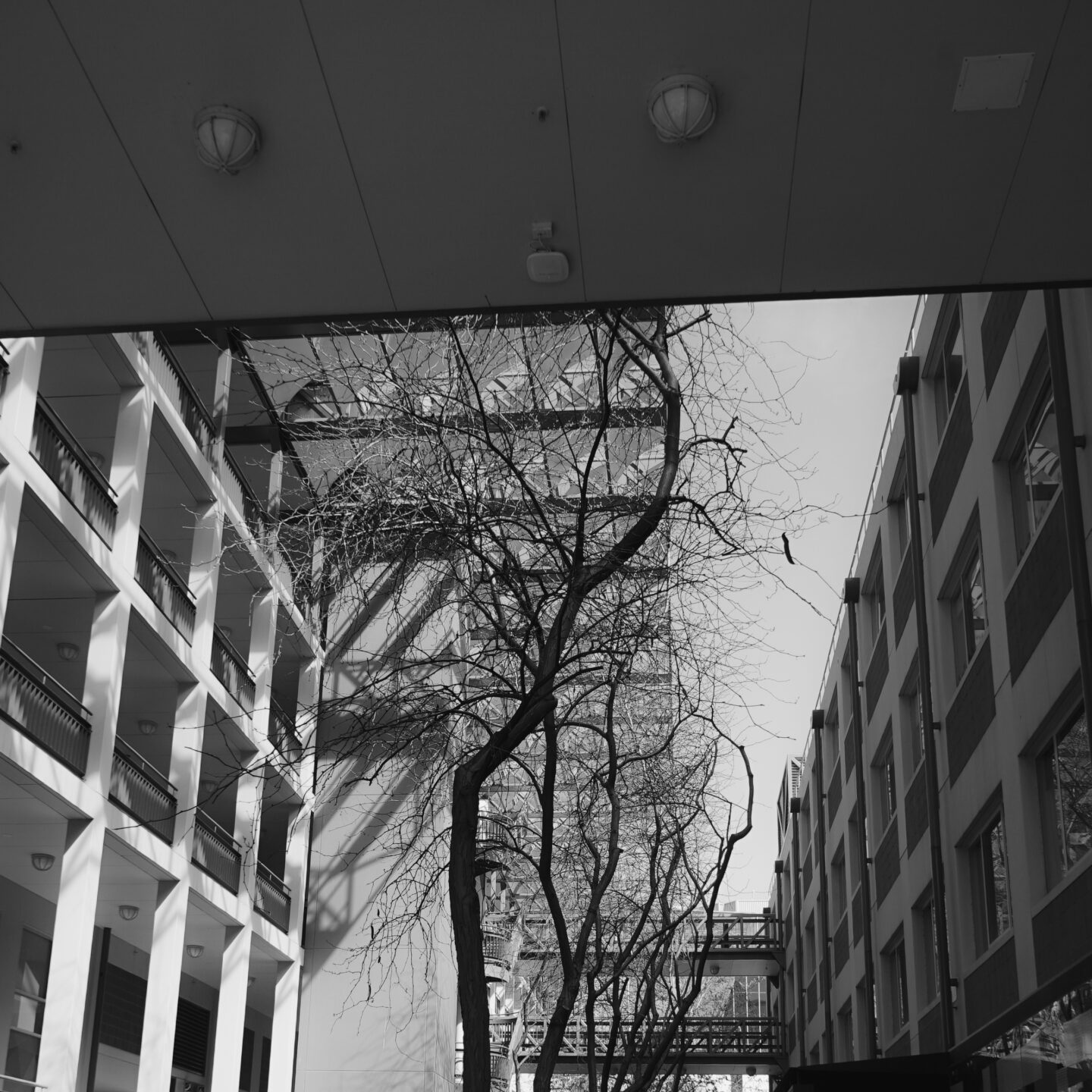 University of South Australia Scene, Adelaide, Australia  [Photography]